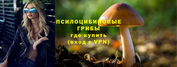 мяу мяу мука Майский