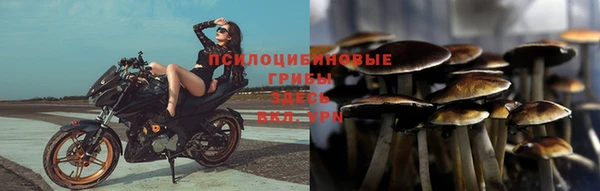 ГАЛЛЮЦИНОГЕННЫЕ ГРИБЫ Магадан